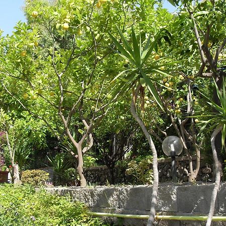 Hotel La Mandorla Barano dʼIschia Eksteriør bilde